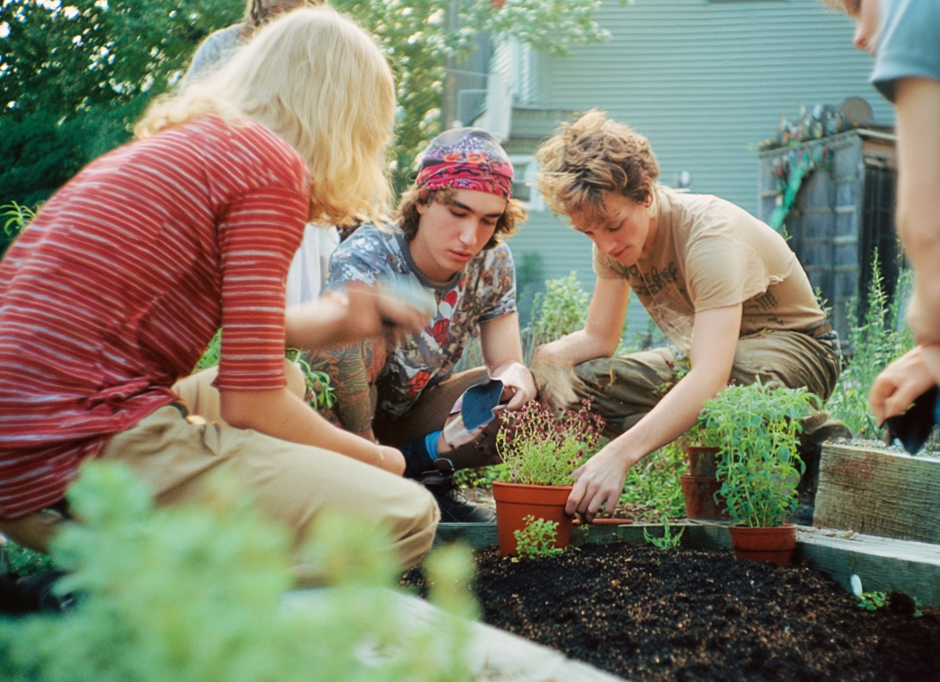 People working together in a community garden